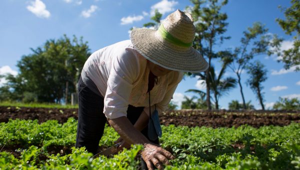 Agroecología