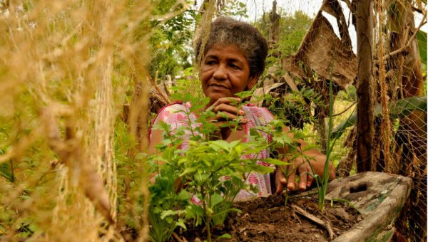 El 92,3 % de las mujeres que se autorreconocen como campesinas saben leer y escribir.Cortesía - PNUD Colombia